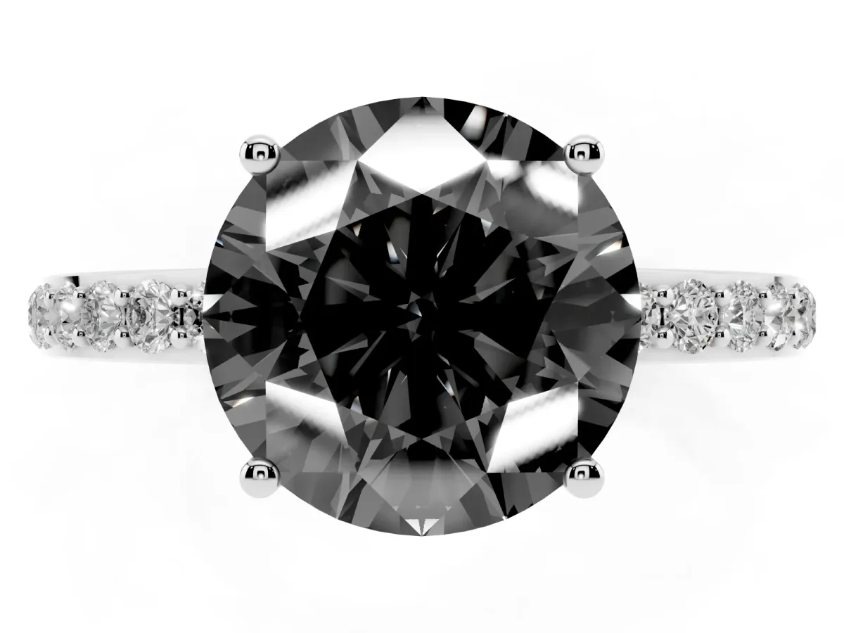 Fancy Black Round Cut Diamond Solitaire Ring with Pavé Band and Hidden Halo Silver