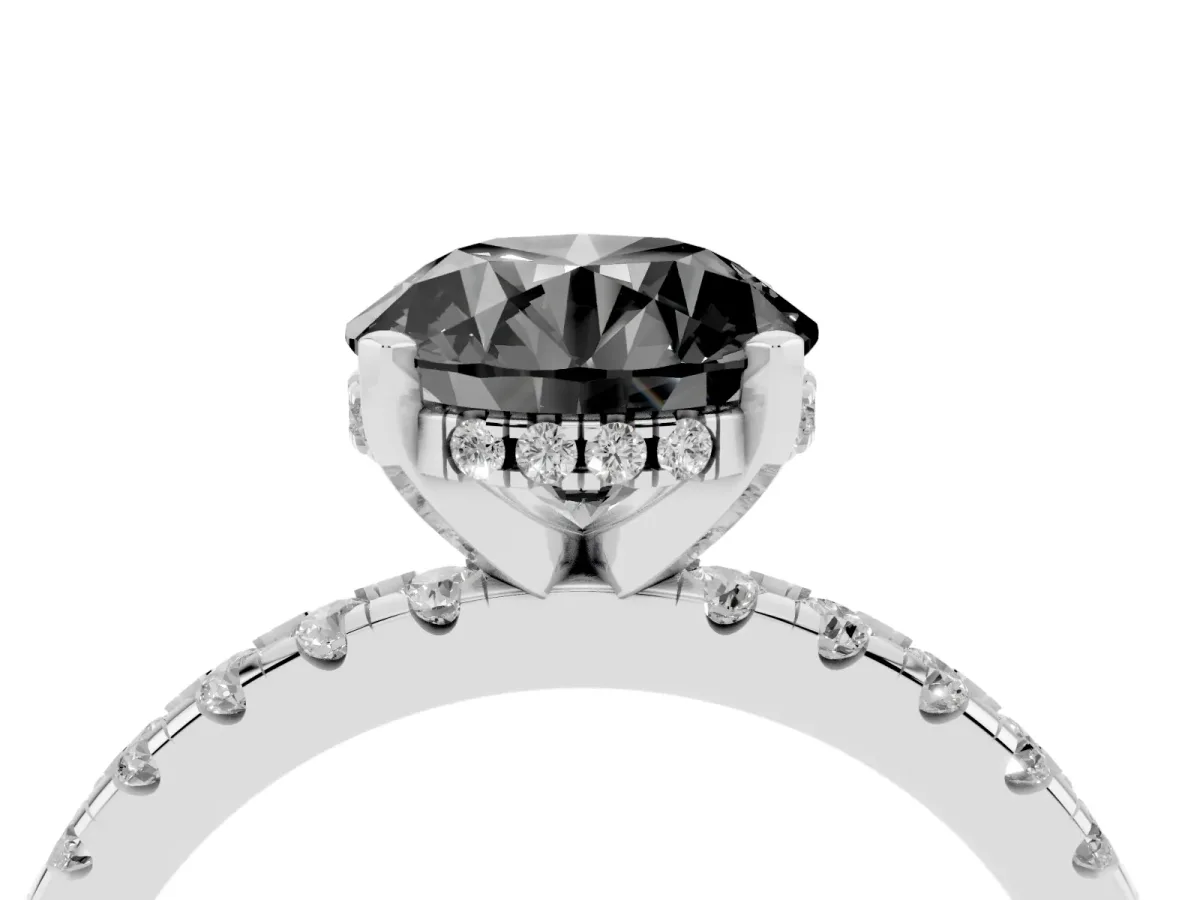 Fancy Black Round Cut Diamond Solitaire Ring with Round Pavé Band and Four-Prong Setting Silver