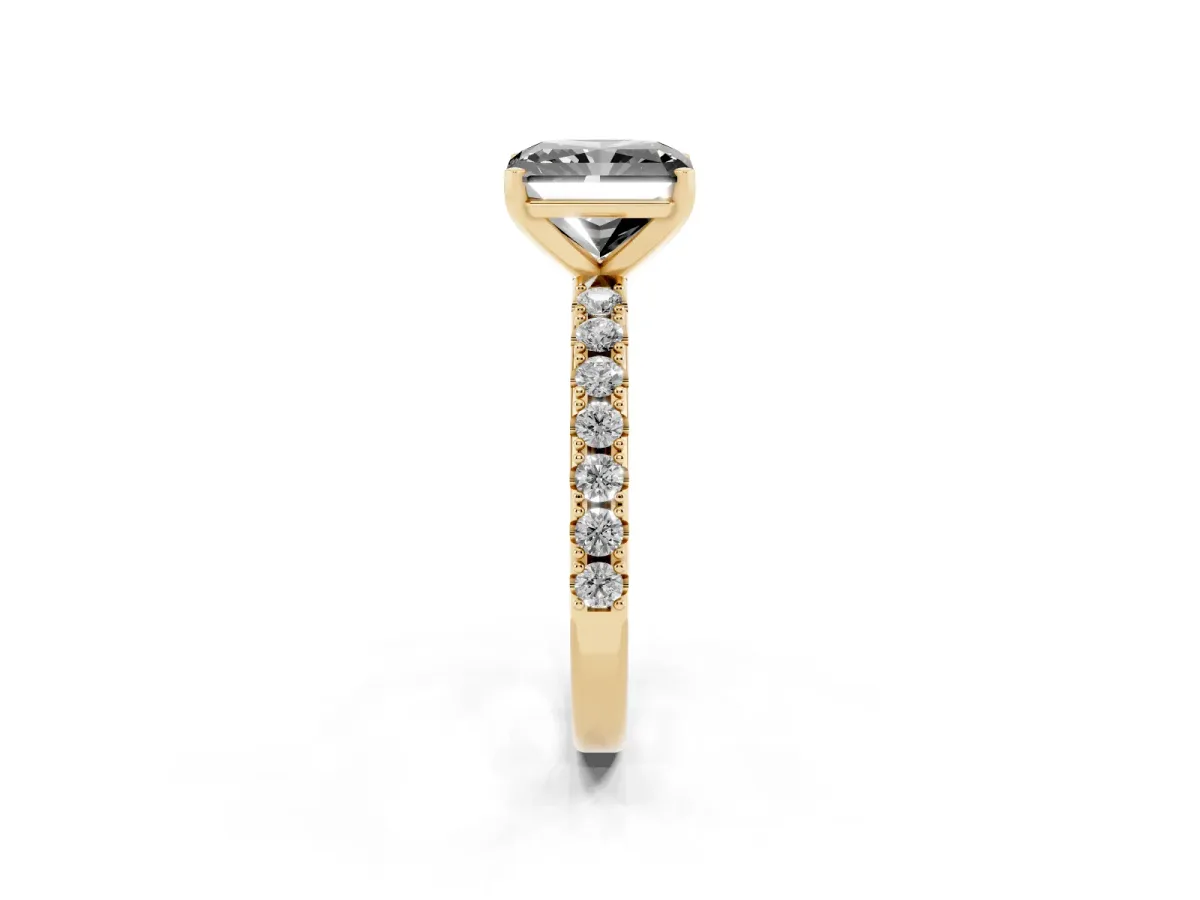 Fancy Black Radiant Cut Diamond Solitaire Pavé Band with Four-Prong Setting Yellow gold