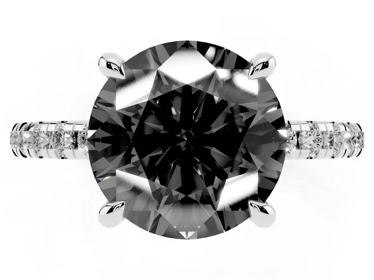 Fancy Black Round Cut Diamond Brilliant Solitaire Ring with Pavé Band and Four-Prong Setting Platinum
