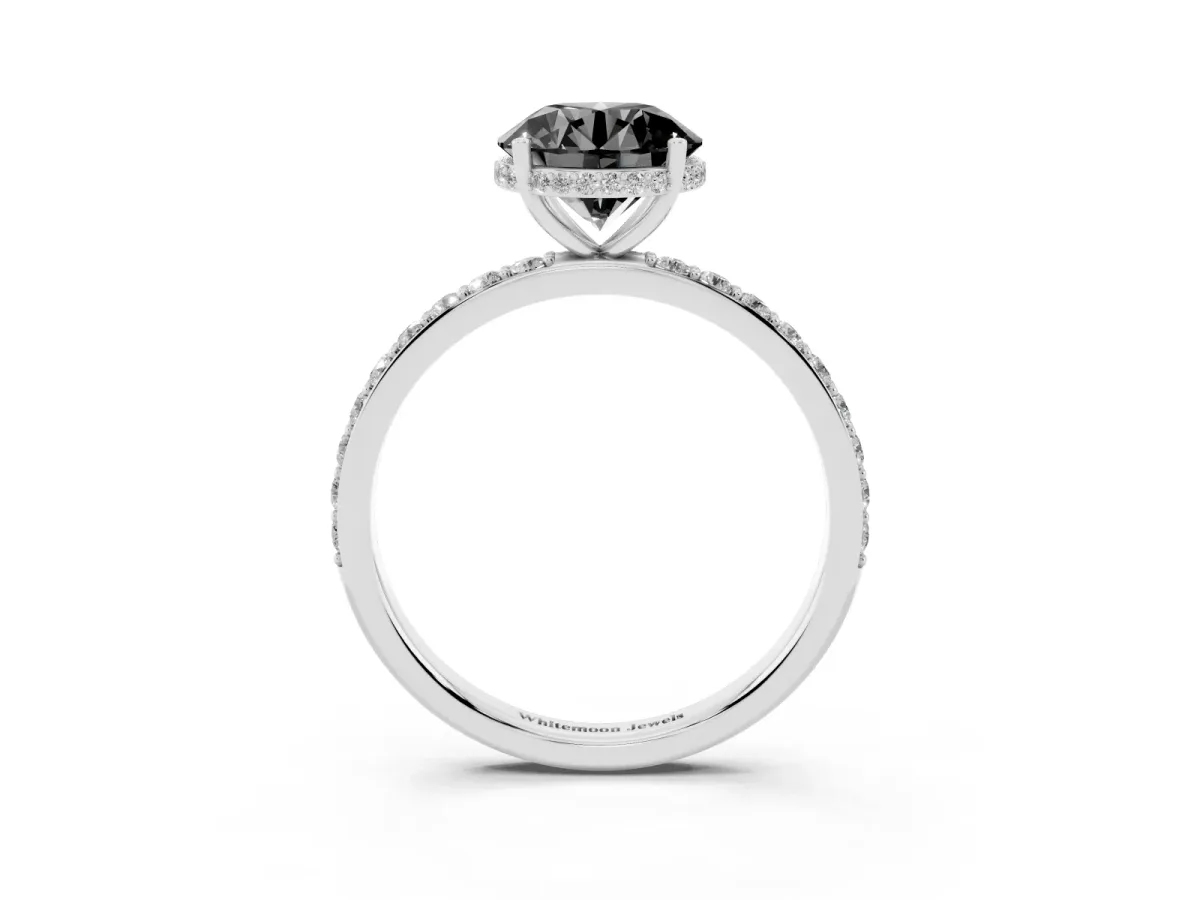 Fancy Black Round Cut Diamond Solitaire Ring with Pavé Band and Hidden Halo Silver