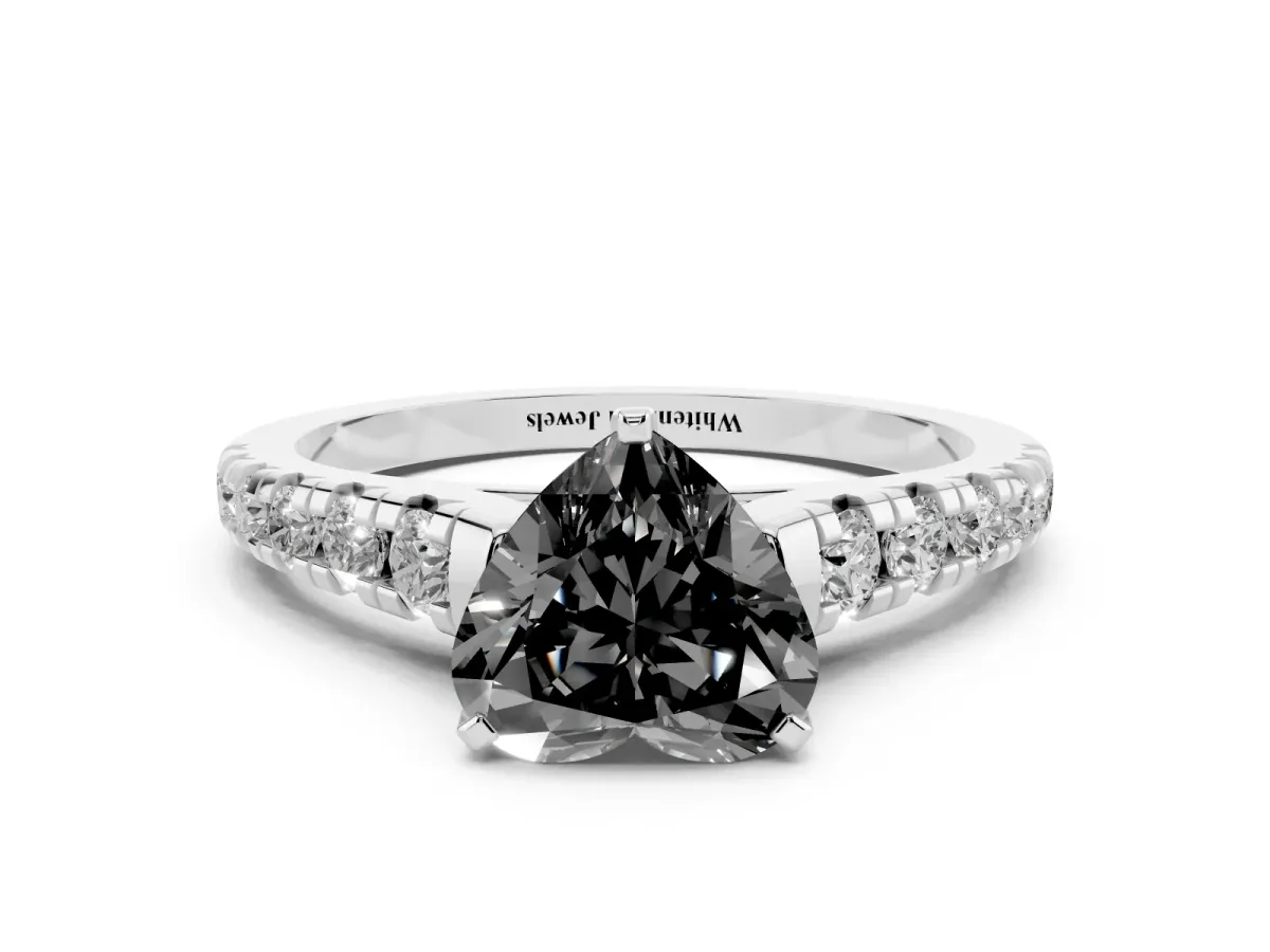 Fancy Black Heart Cut Diamond Cathedral Solitaire Ring with Round Pavé Band Silver