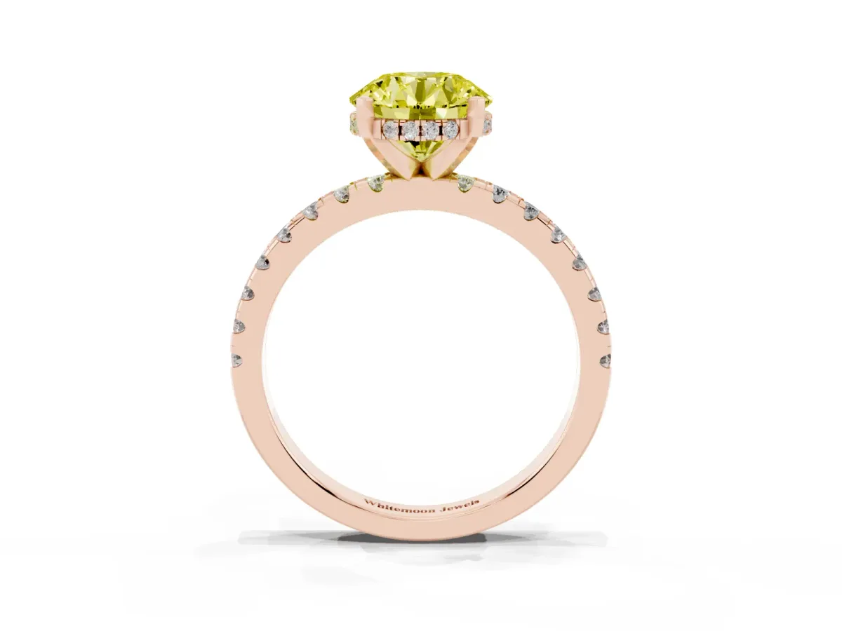 Fancy Yellow Round Cut Diamond Solitaire Ring with Round Pavé Band and Four-Prong Setting Rose gold