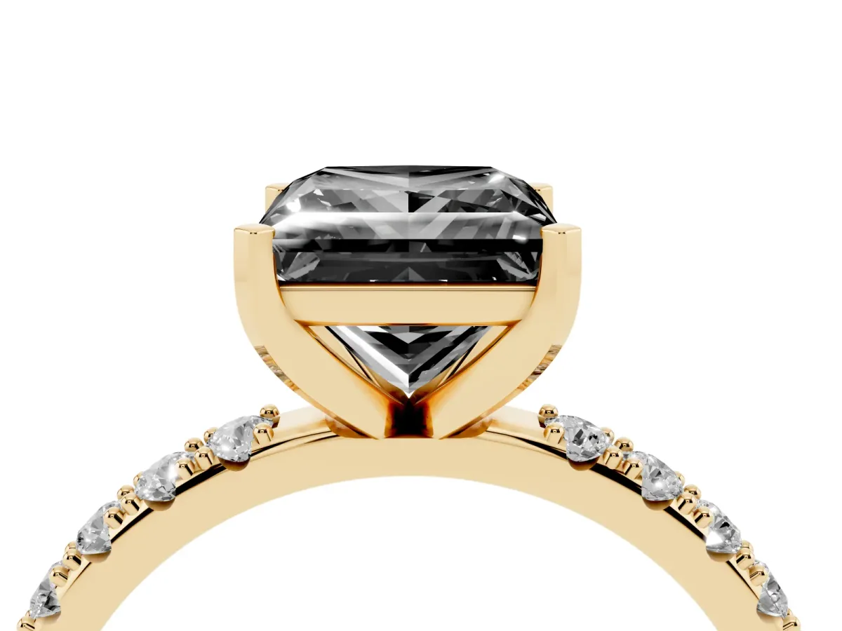Fancy Black Princess Cut Diamond Solitaire Pavé Band with Four-Prong Setting Yellow gold