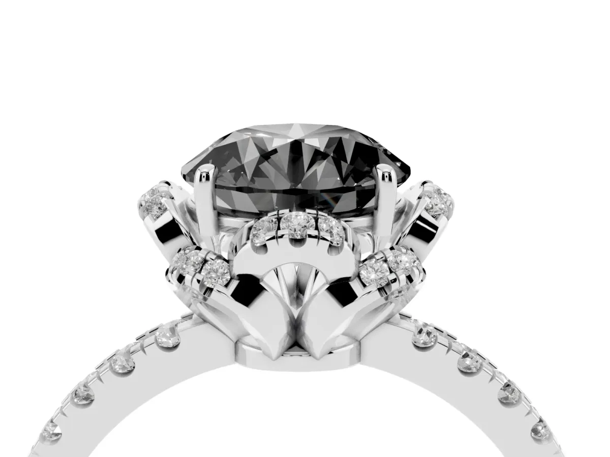 Fancy Black Round Cut Diamond Halo Pave Band with Four-Prong Setting White gold
