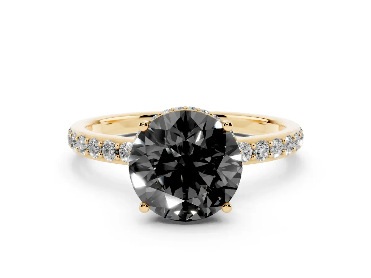 Fancy Black Round Cut Diamond Solitaire Ring with Pavé Band and Hidden Halo Yellow gold
