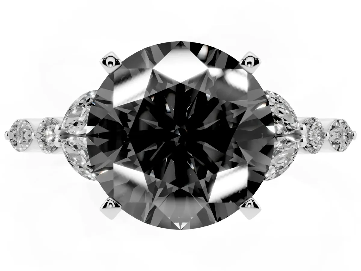 Fancy Black Round Cut Diamond Solitaire Ring with Side Stones and Four-Prong Setting Silver