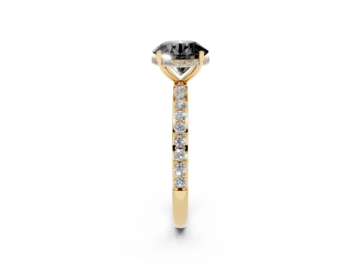 Fancy Black Round Cut Diamond Solitaire Ring with Pavé Band and Hidden Halo Yellow gold