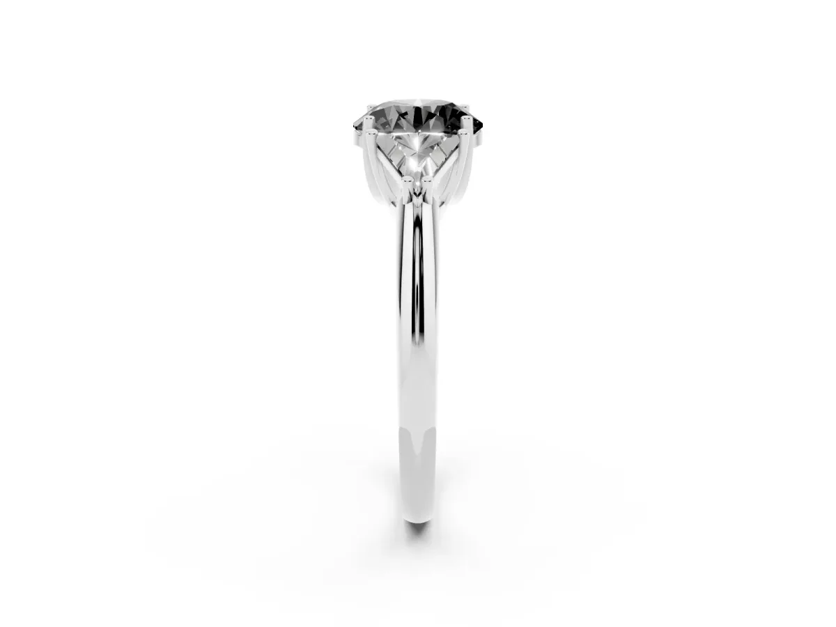 Fancy Black Three-Stone Round Cut Diamond Engagement Ring with Trillion Side Stones and Prong Setting White gold