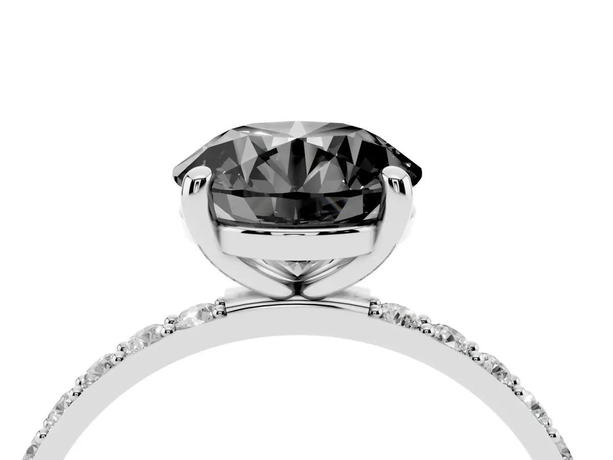 Fancy Black Round Cut Diamond Solitaire Ring with Round Pavé Band and Prong Setting Silver