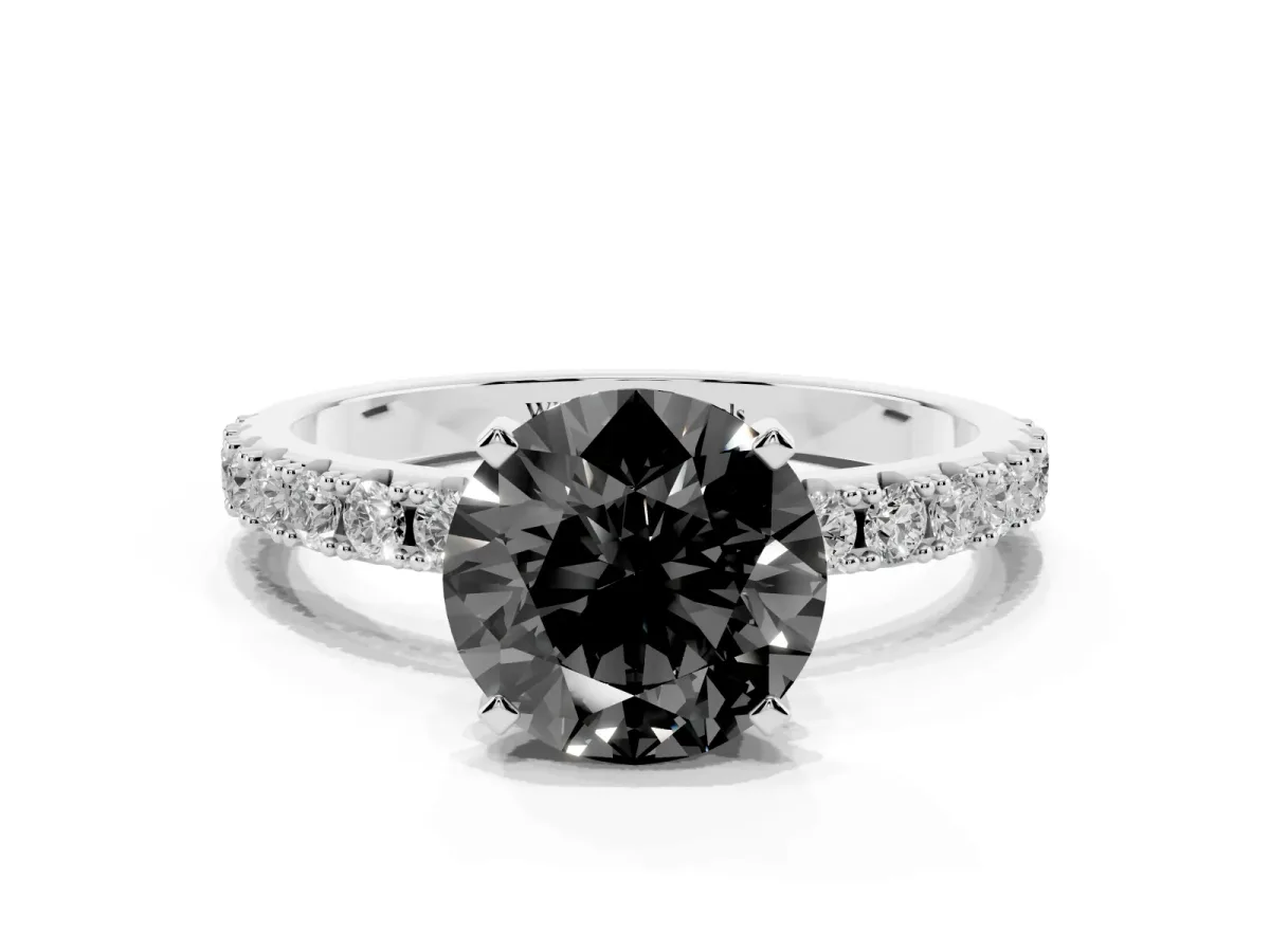 Fancy Black Round Cut Diamond Solitaire Pavé Band with Four-Prong Setting Silver