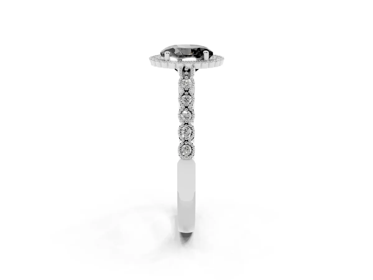 Fancy Black Round Cut Cut Halo Pavé Solitaire Ring with Milgrain Band White gold