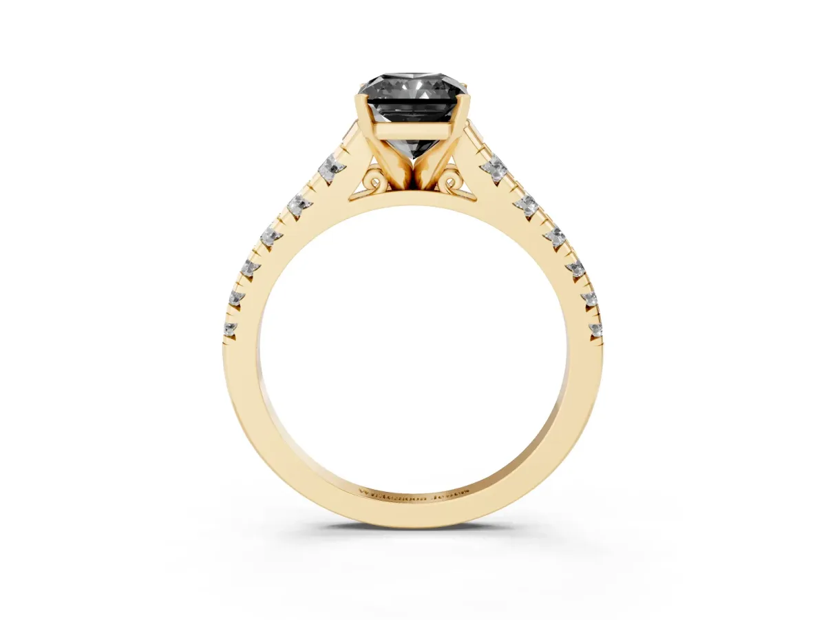 Fancy Black Radiant Cut Diamond Cathedral Solitaire Ring with Round Pavé Band Yellow gold