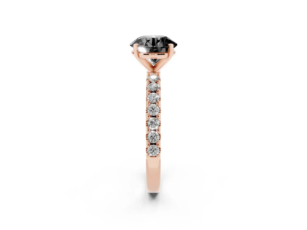 Fancy Black Round Cut Diamond Solitaire Pavé Band with Four-Prong Setting Rose gold