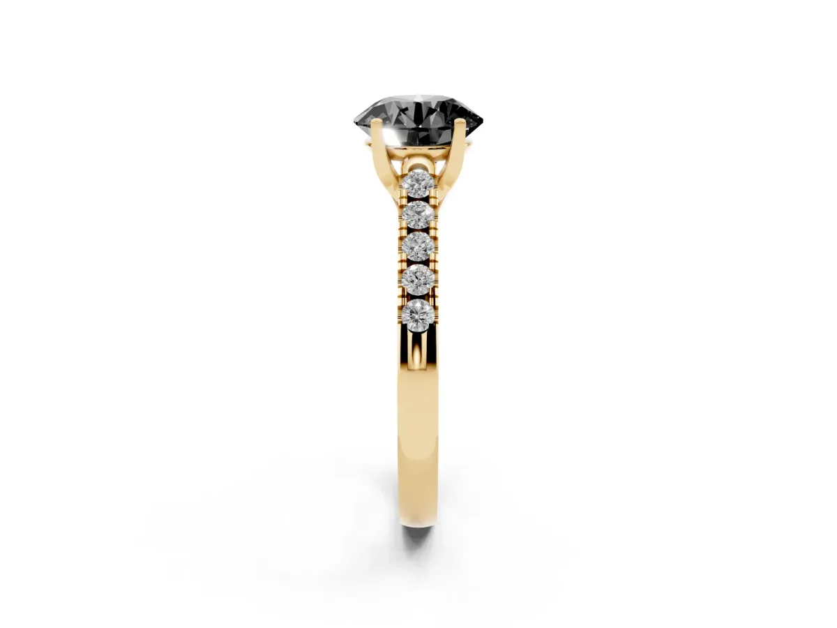 Fancy Black Round Cut Diamond Pavé Band Solitaire Ring with Prong Setting Yellow gold