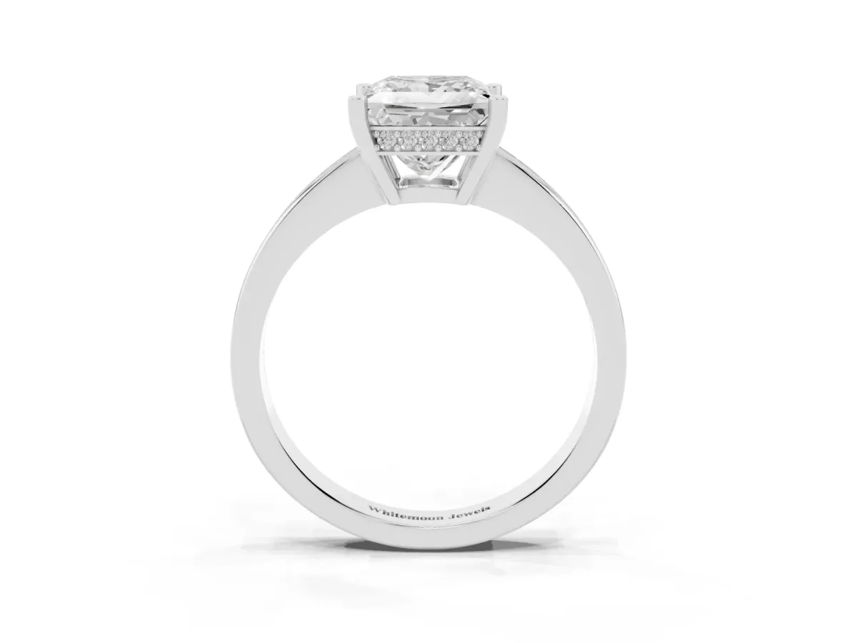 Princess Cut Solitaire Pavé Band Prong Setting Ring Silver