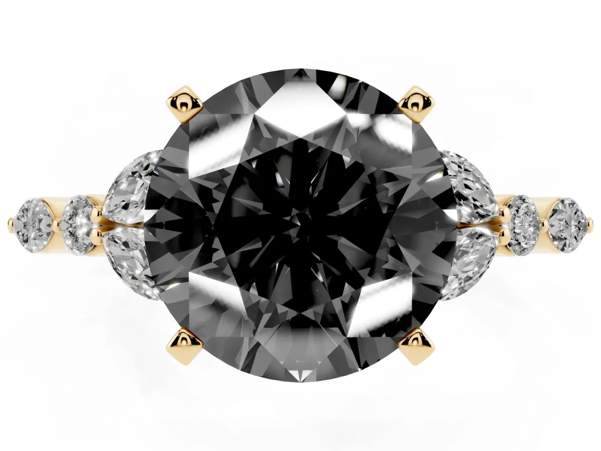 Fancy Black Round Cut Diamond Solitaire Ring with Side Stones and Four-Prong Setting Yellow gold
