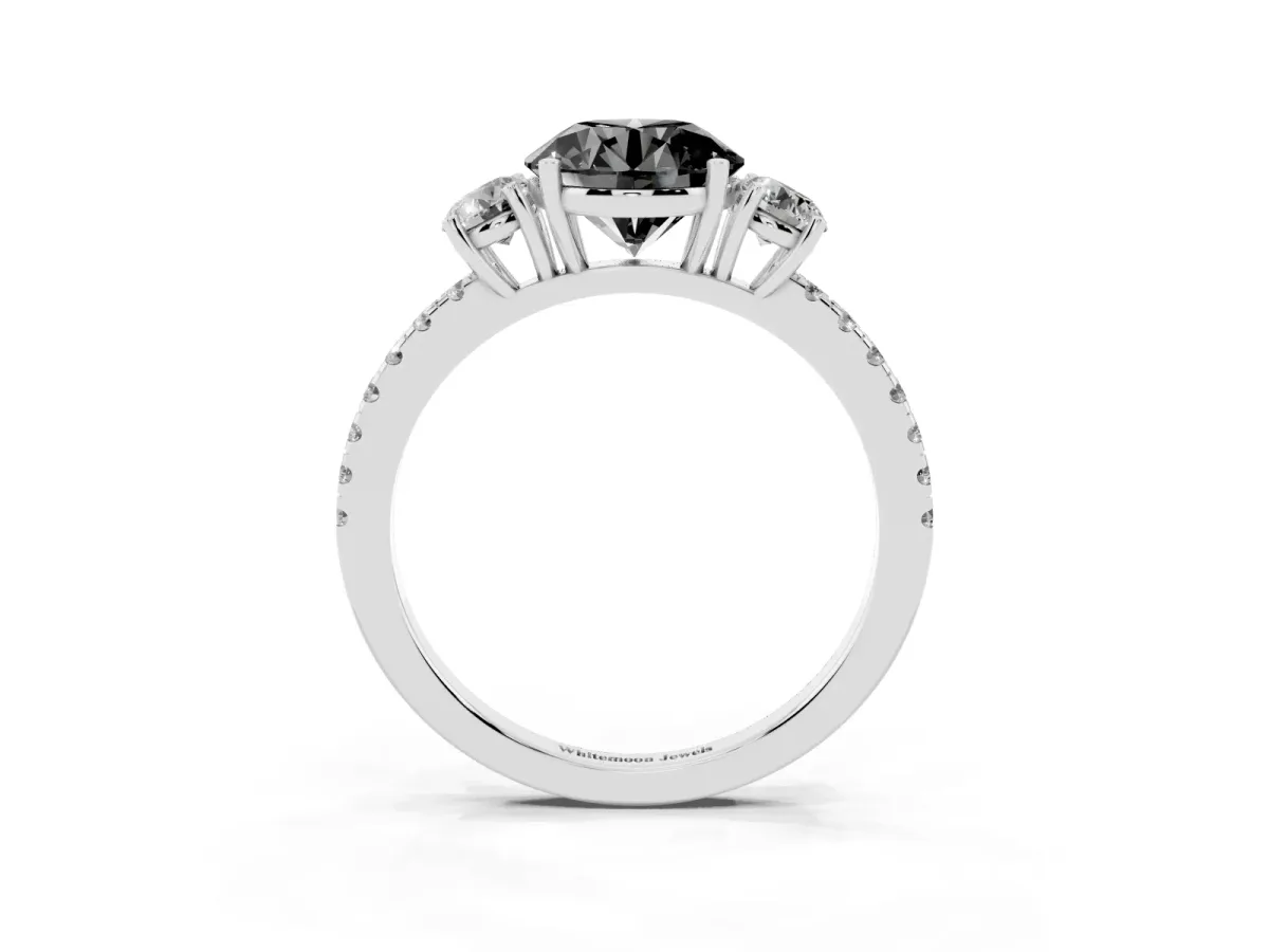 Fancy Black Three-Stone Round Cut Cut Diamond Pavé Band with Prong Setting Silver