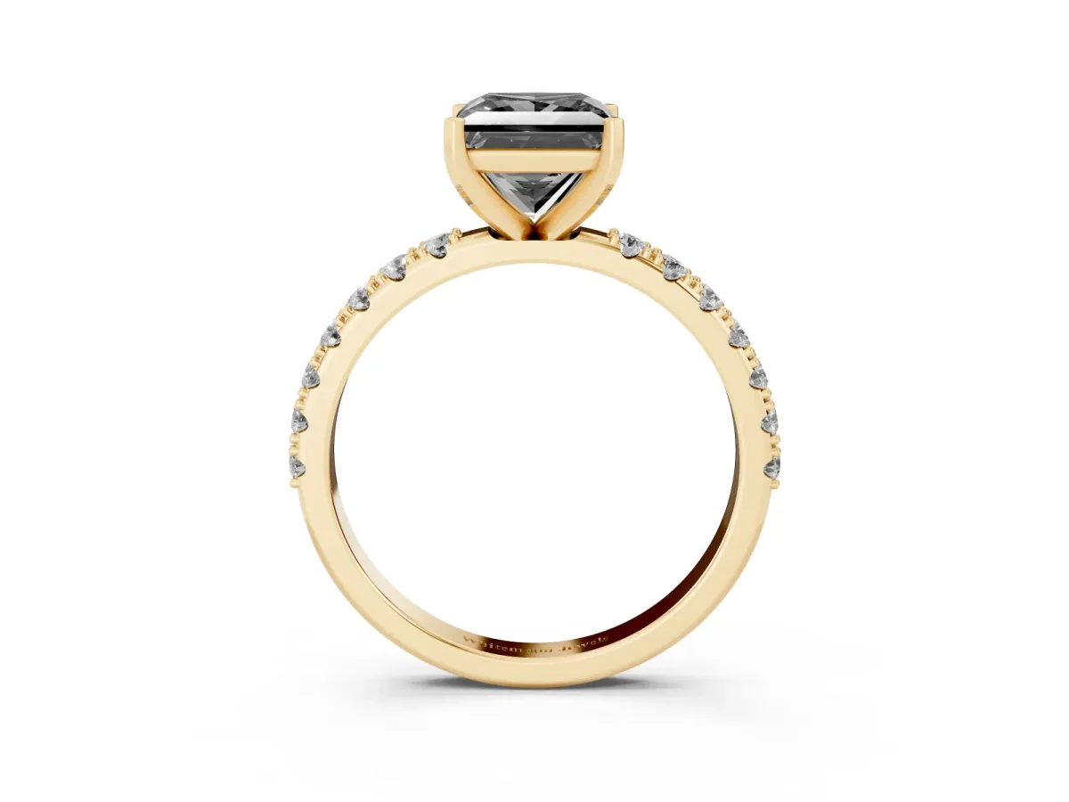 Fancy Black Princess Cut Diamond Solitaire Pavé Band with Four-Prong Setting Yellow gold