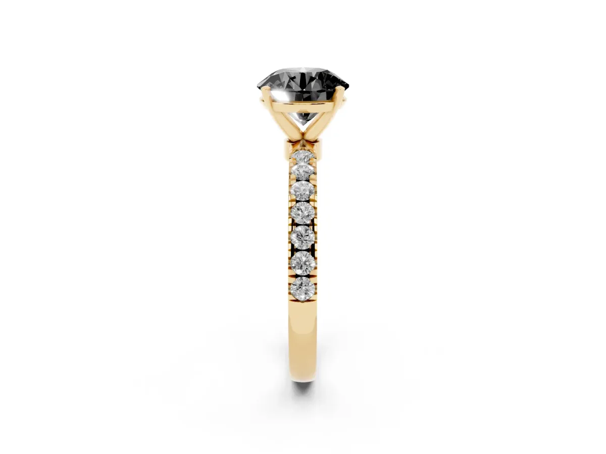 Fancy Black Round Cut Diamond Solitaire Ring with Pavé Accents and Four-Prong Setting Yellow gold