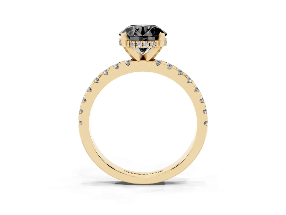 Fancy Black Round Cut Diamond Solitaire Ring with Round Pavé Band and Four-Prong Setting Yellow gold