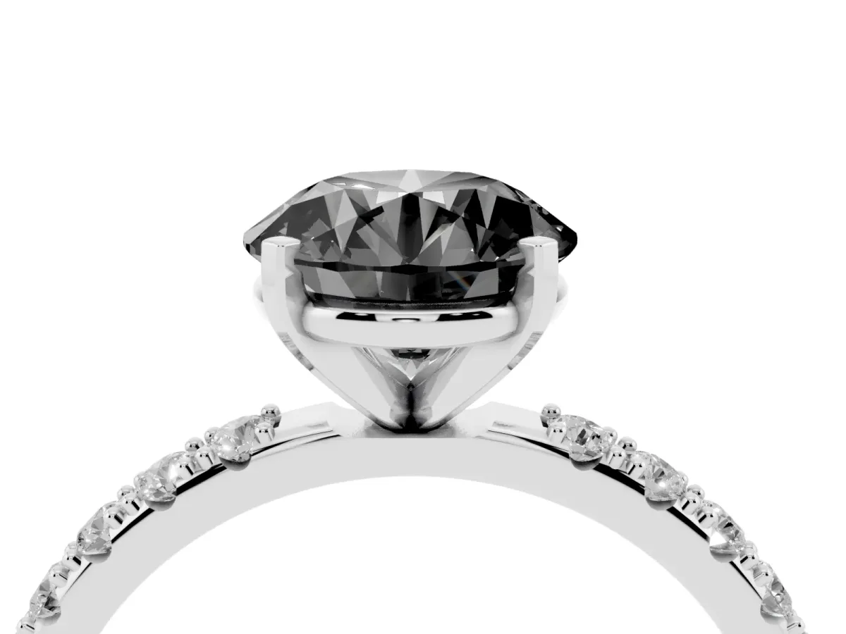 Fancy Black Round Cut Diamond Solitaire Pavé Band with Four-Prong Setting Silver
