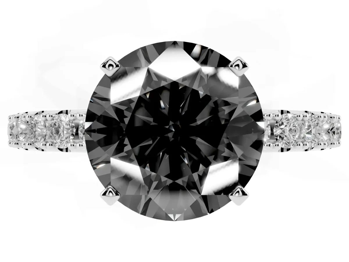 Fancy Black Round Cut Diamond Solitaire Pavé Band with Four-Prong Setting Silver
