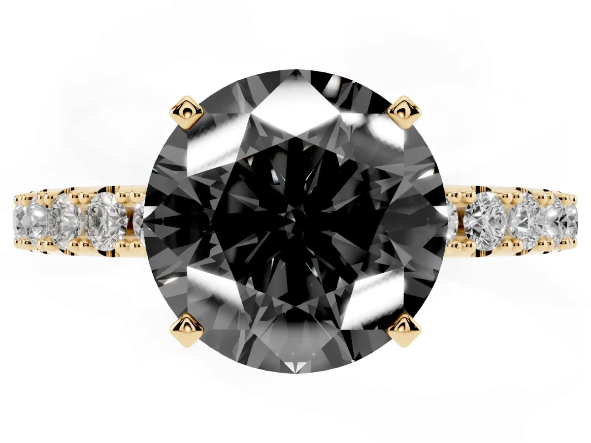 Fancy Black Round Cut Diamond Solitaire Pavé Band with Four-Prong Setting Yellow gold