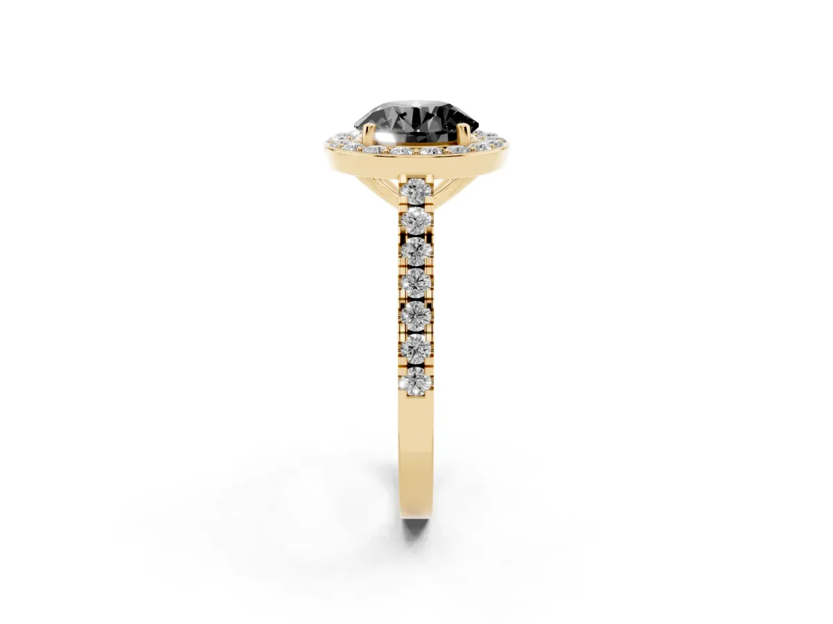 Fancy Black Round Cut Diamond Halo Ring with Round Pavé Split Shank and Prong Setting Yellow gold