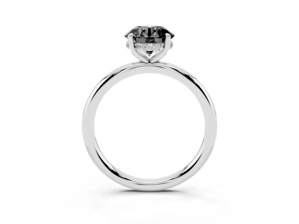 Fancy Black Round Cut Diamond Solitaire Ring with Thin Band and Four-Prong Setting Platinum