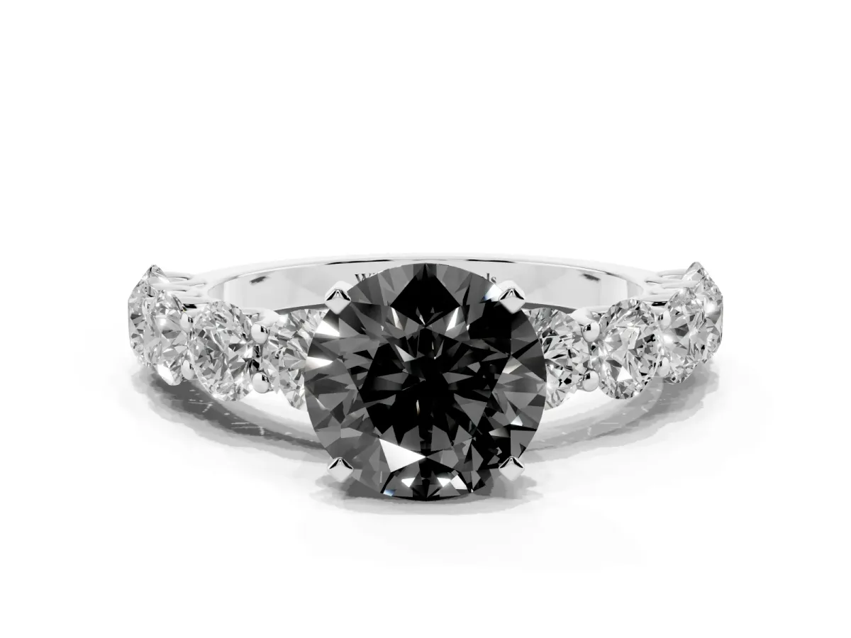 Fancy Black Round Cut Diamond Prong Setting with Side Stones on a Pave Band Silver
