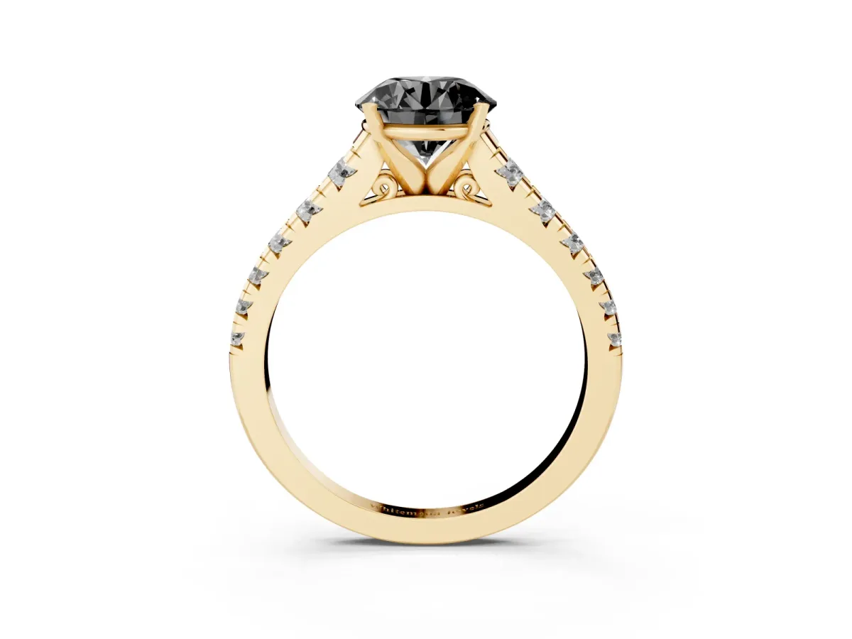 Fancy Black Round Cut Diamond Cathedral Solitaire Ring with Round Pavé Band Yellow gold