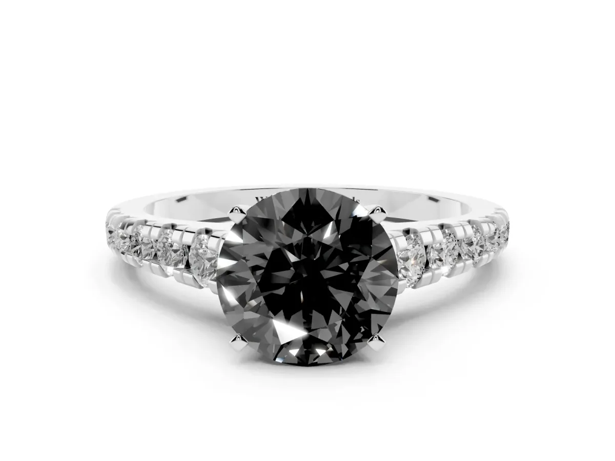 Fancy Black Round Cut Diamond Cathedral Solitaire Ring with Round Pavé Band Platinum