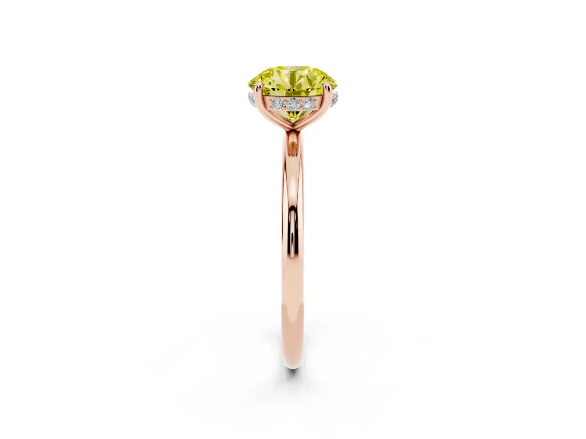 Fancy Yellow Round Cut Solitaire Diamond Ring with a Classic Band and Four-Prong Setting Rose gold
