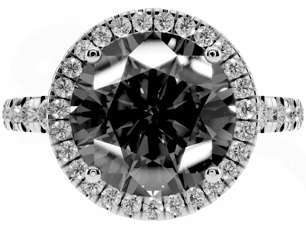 Fancy Black Round Cut Diamond Halo Ring with Pavé Band and Four-Prong Setting White gold