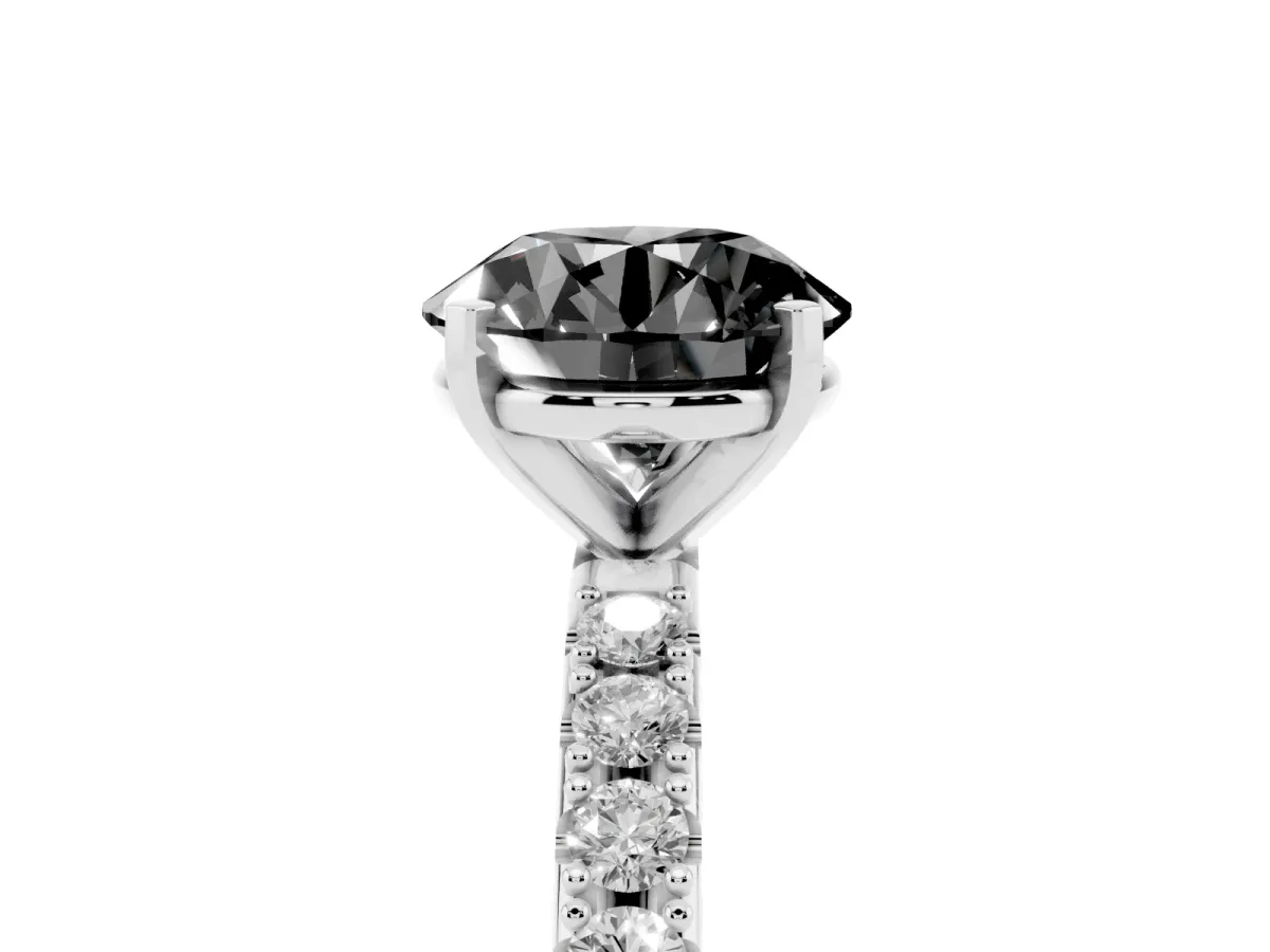 Fancy Black Round Cut Diamond Solitaire Pavé Band with Four-Prong Setting Silver