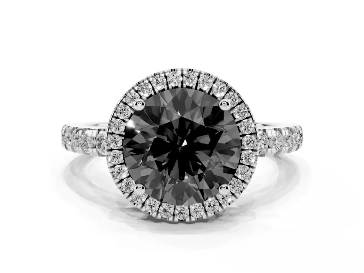 Fancy Black Round Cut Diamond Halo Ring with Pavé Band and Four-Prong Setting White gold