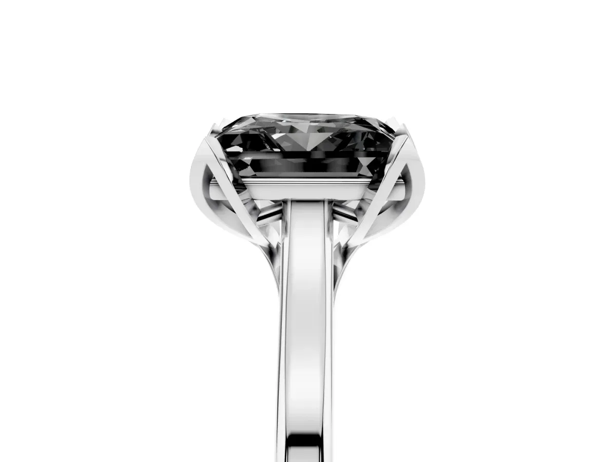 Fancy Black Princess Cut Diamond Solitaire Ring with Flower Prong Setting and Classic Band Silver