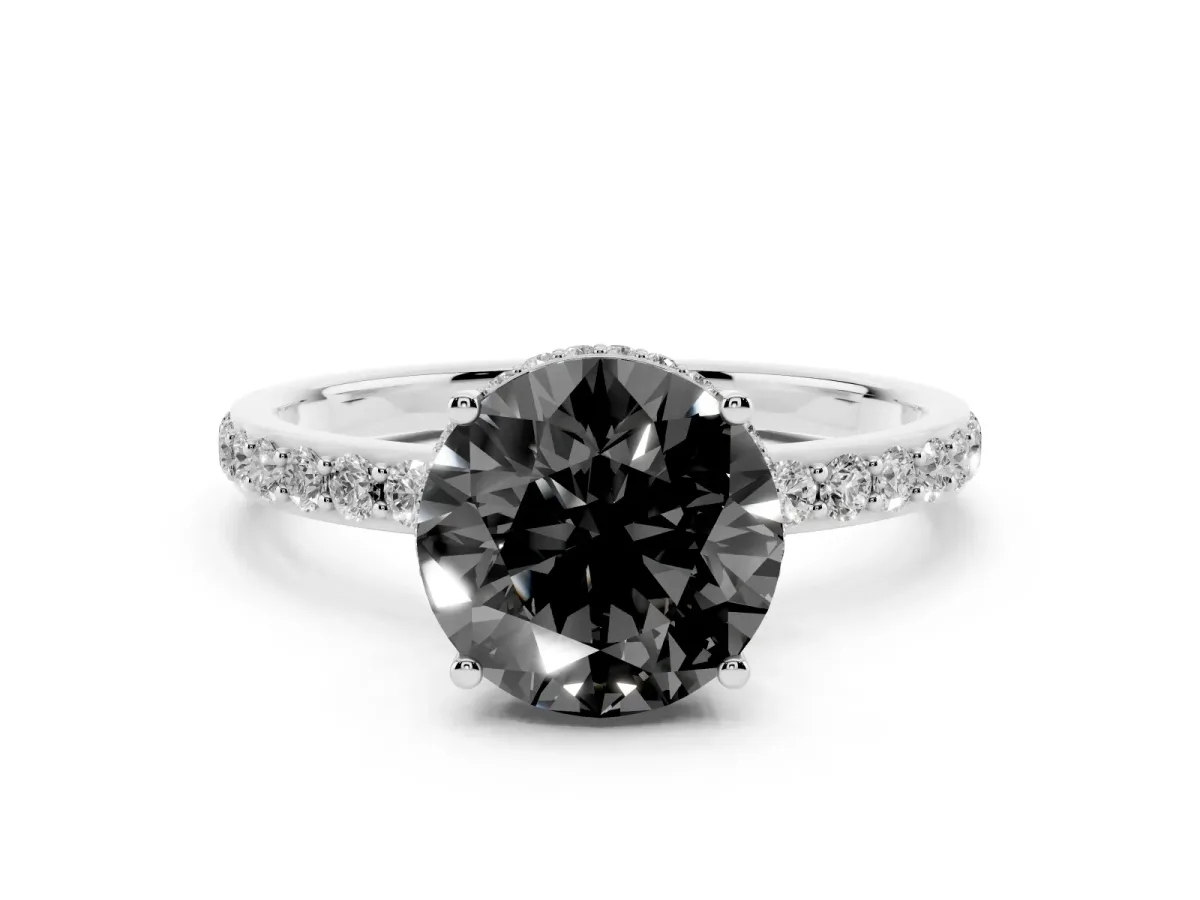Fancy Black Round Cut Diamond Solitaire Ring with Pavé Band and Hidden Halo Silver