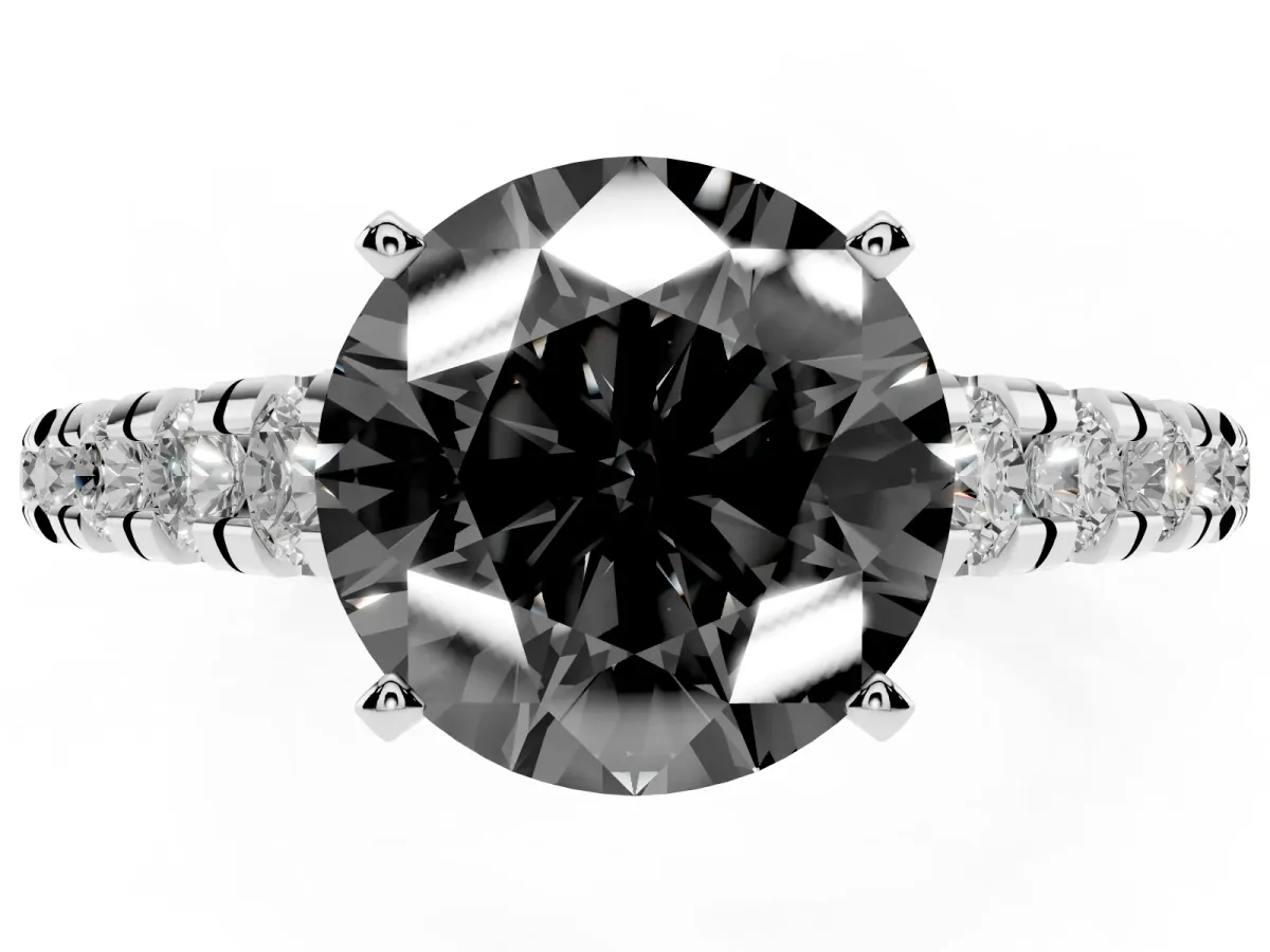 Fancy Black Round Cut Diamond Cathedral Solitaire Ring with Round Pavé Band Platinum