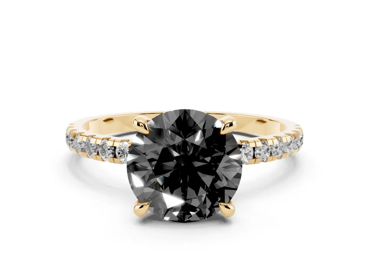 Fancy Black Round Cut Diamond Brilliant Solitaire Ring with Pavé Band and Four-Prong Setting Yellow gold