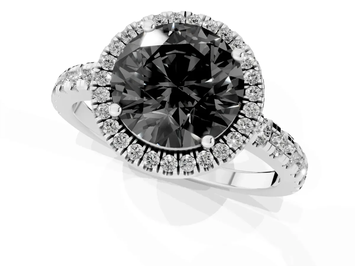 Fancy Black Round Cut Diamond Halo Ring with Pavé Band and Four-Prong Setting White gold