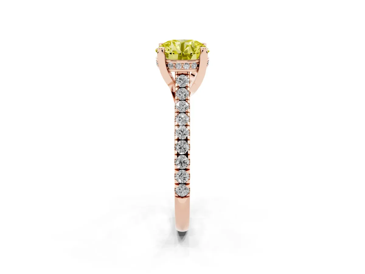 Fancy Yellow Round Cut Brilliant Diamond Solitaire with Pavé Band and Four-Prong Setting Rose gold