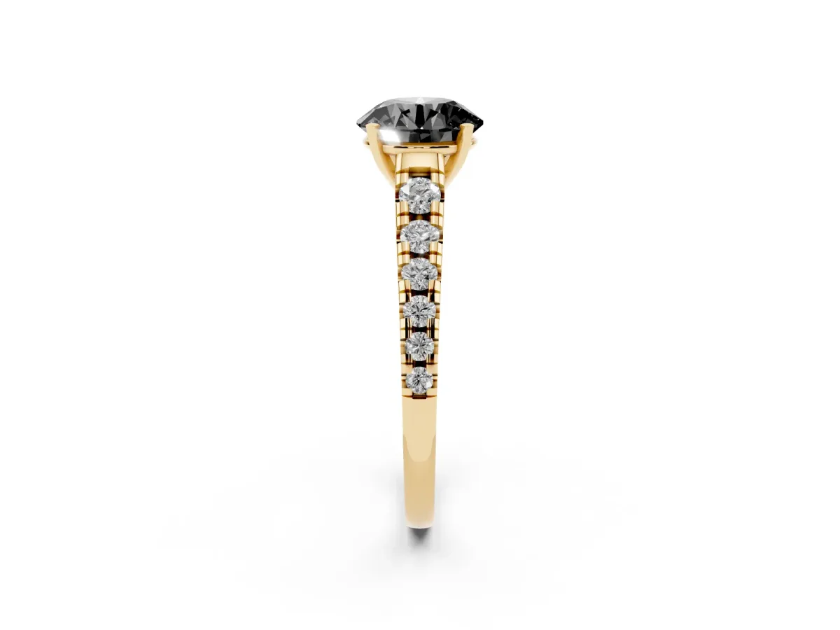 Fancy Black Round Cut Diamond Cathedral Solitaire Ring with Round Pavé Band Yellow gold