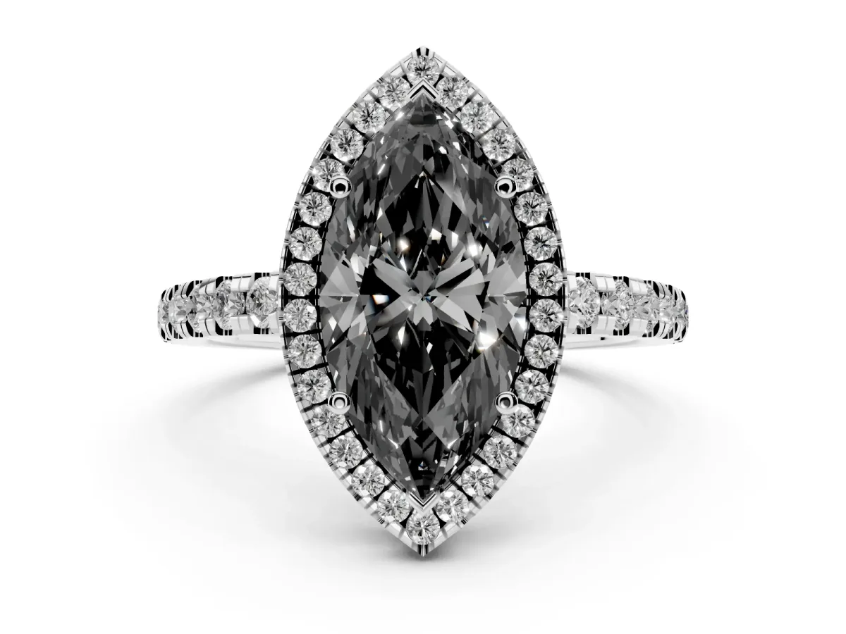 Fancy Black Marquise Cut Diamond Halo Ring with Pavé Band and Four-Prong Setting Platinum