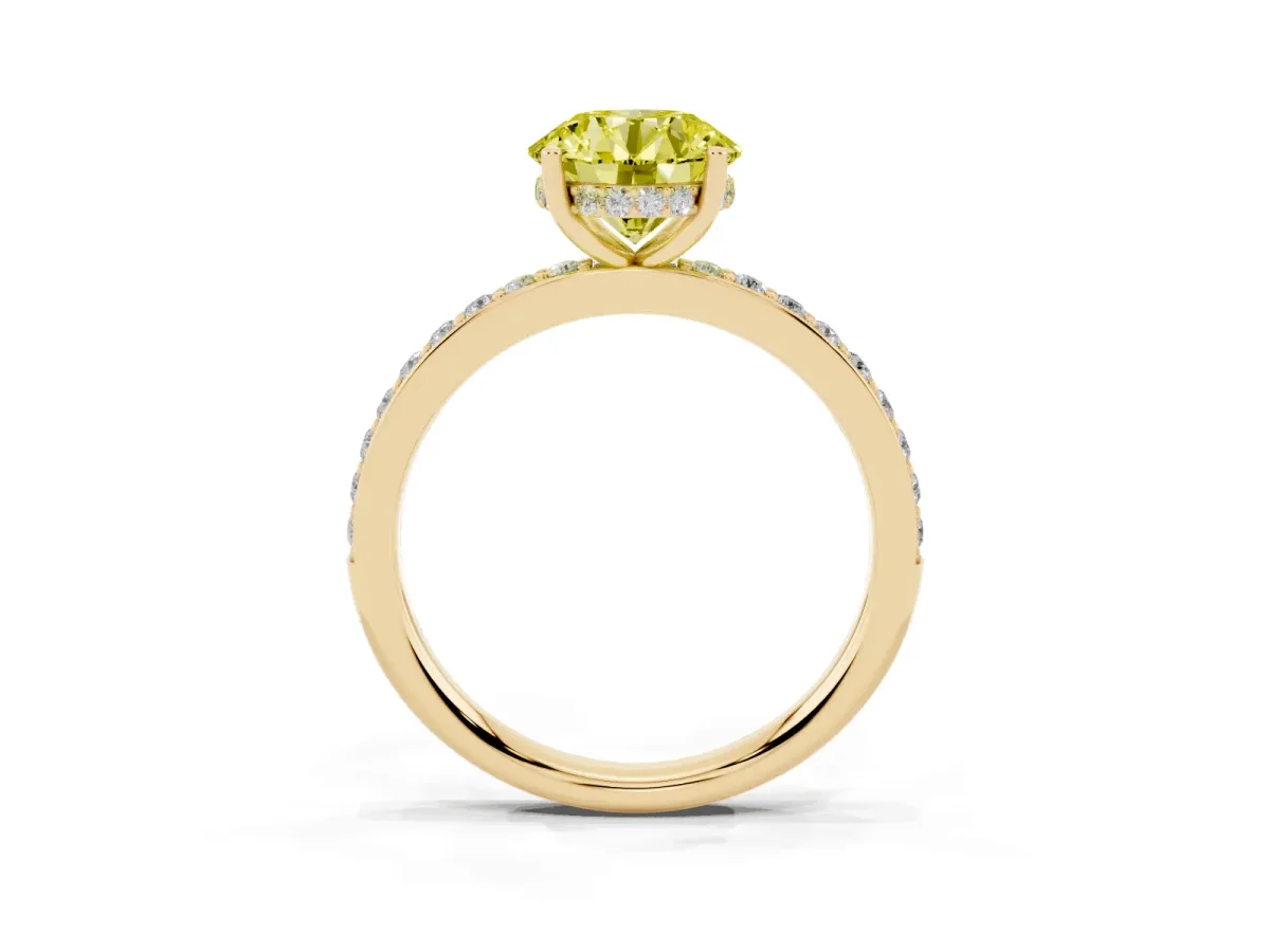 Fancy Yellow Round Cut Cut Diamond Pavé Band Ring with Four-Prong Setting Yellow gold