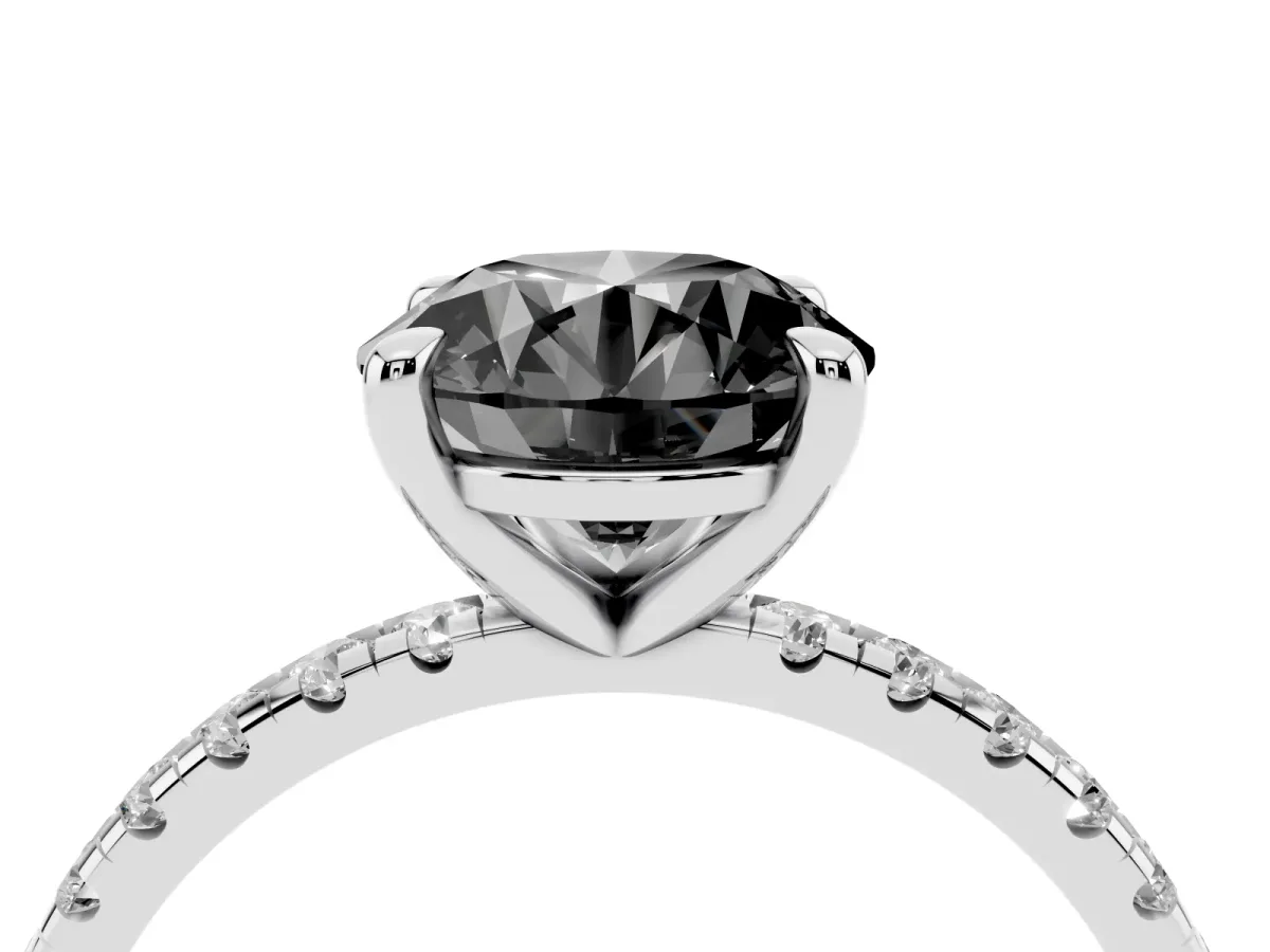 Fancy Black Round Cut Diamond Brilliant Solitaire Ring with Pavé Band and Four-Prong Setting Platinum