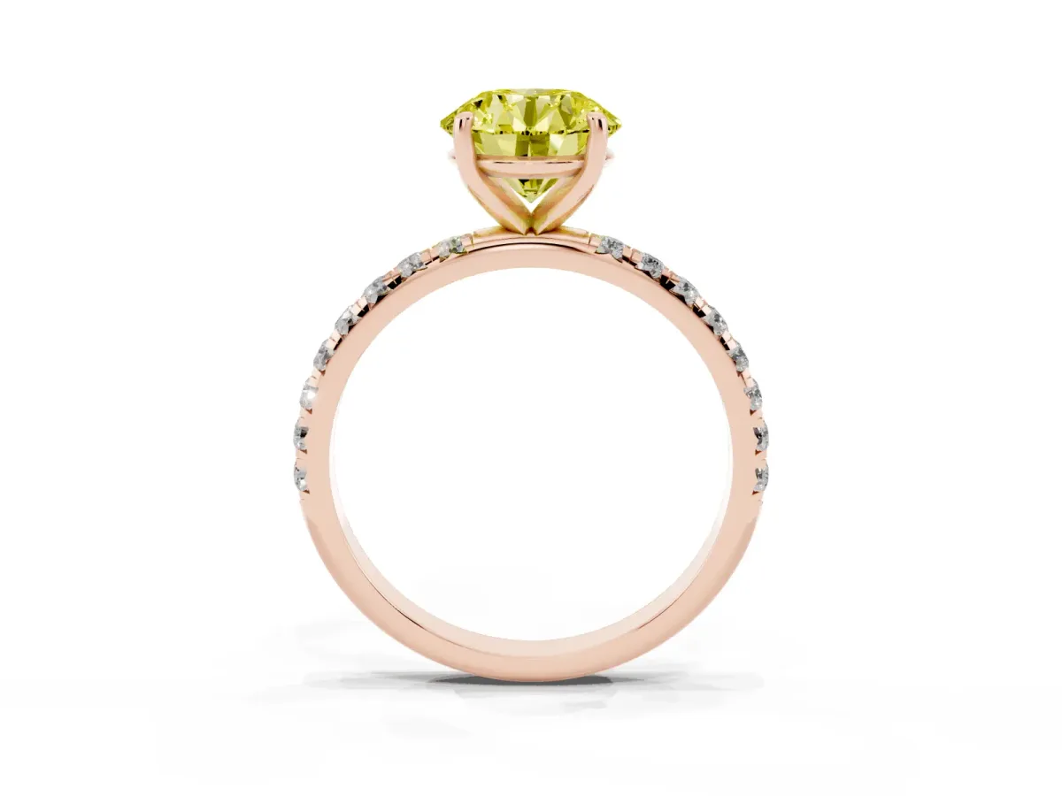 Fancy Yellow Round Cut Cut Diamond Solitaire Ring with Micro Pave Band and Four Prong Setting Rose gold