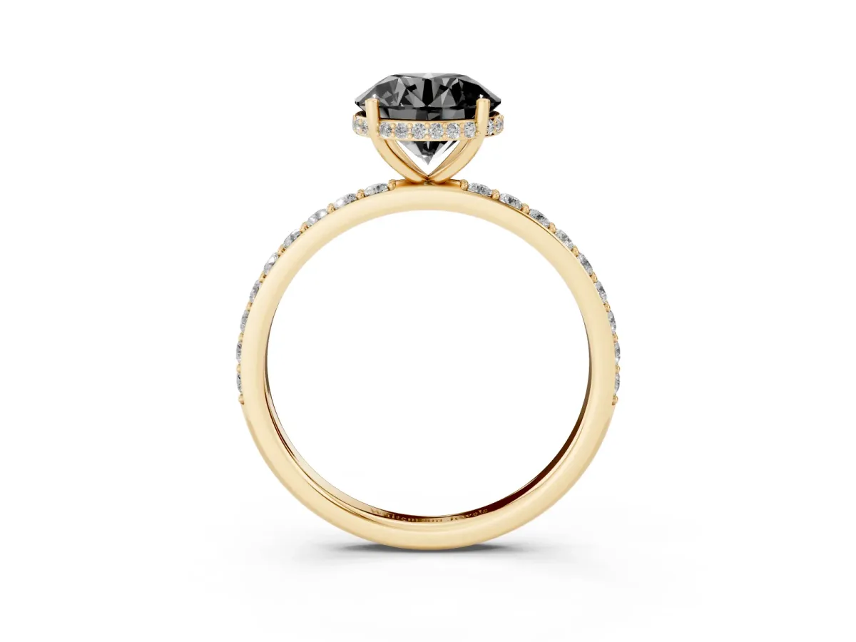 Fancy Black Round Cut Diamond Solitaire Ring with Pavé Band and Hidden Halo Yellow gold