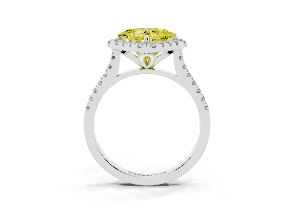 Fancy Yellow Princess Cut Diamond Cushion Halo Ring with Pavé Band White gold